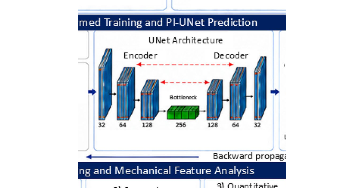 Three-dimensional physics-informed UNet architecture for voxel-wise hyperelastic inversion